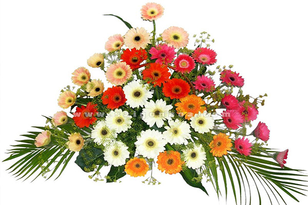 Ngôn ngữ hoa sử dụng trong các ngày lễ